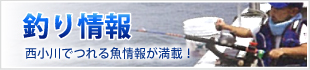 福井県若狭小浜の釣り情報